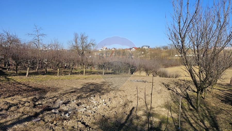 Casă cu 3 camere cu Teren 4900 Mp în Central