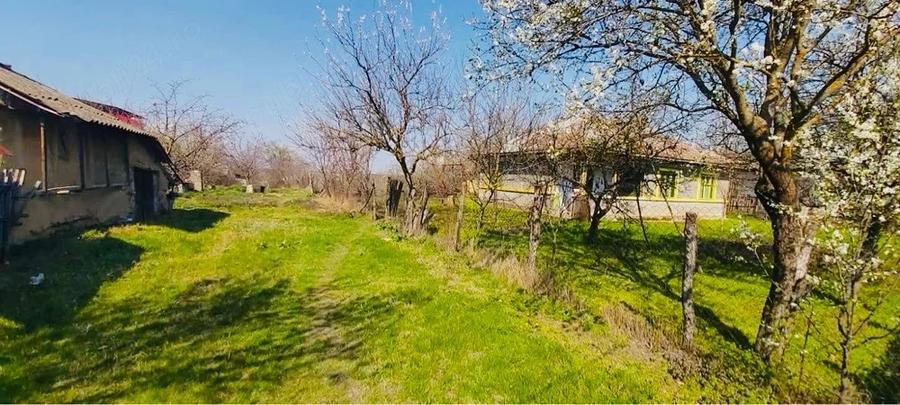 Teren de 7700 mp, în Letca Veche