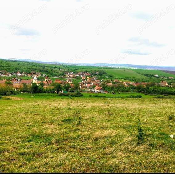 Teren de 2800 mp, în Nord