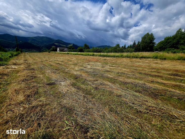 Teren de 600 mp, în Alexandru cel Bun