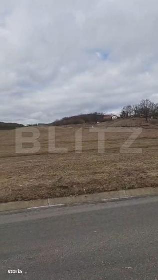 Teren parcelabil, de investitie, 1000-7500 mp in Valea Seaca, Baciu - 1