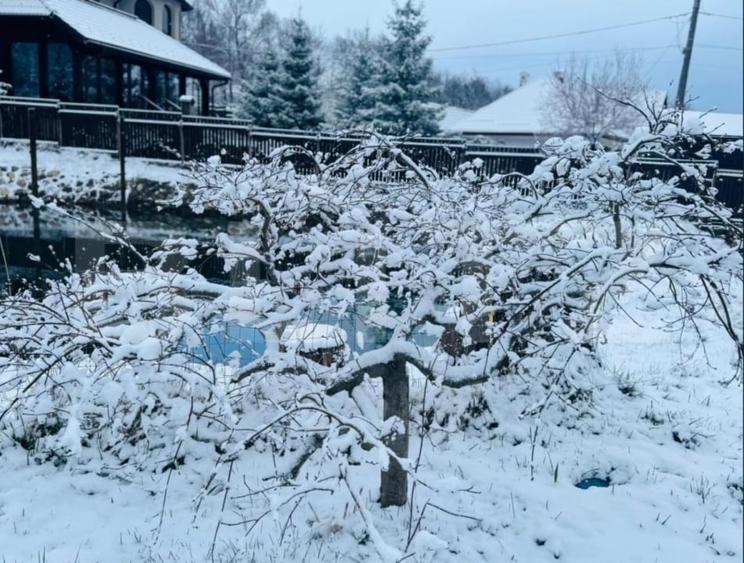 Casă individuală cu 9 camere cu Canalizare în Bran