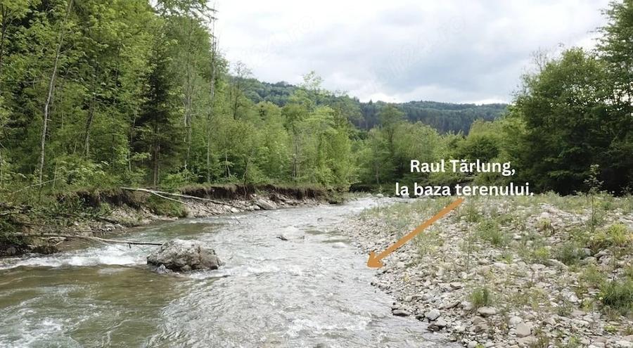 Teren de 4000 mp, în Babarunca