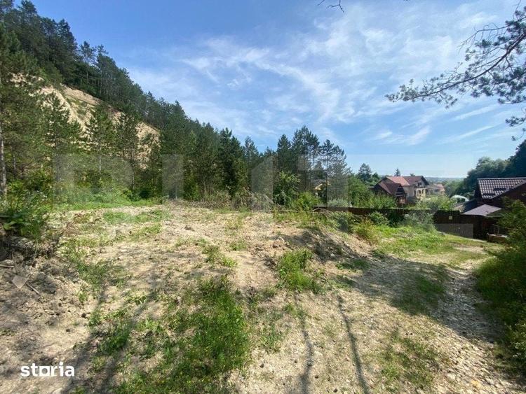 Teren de 743 mp, în Baciu