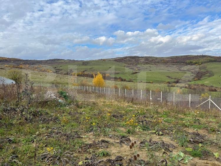 Casă individuală cu 4 camere cu Teren 3000 Mp în Uriu