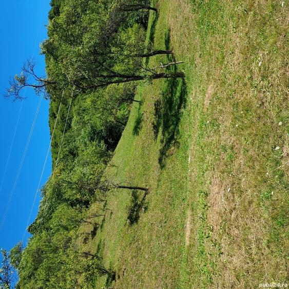 Teren de 3800 mp, în Arefu