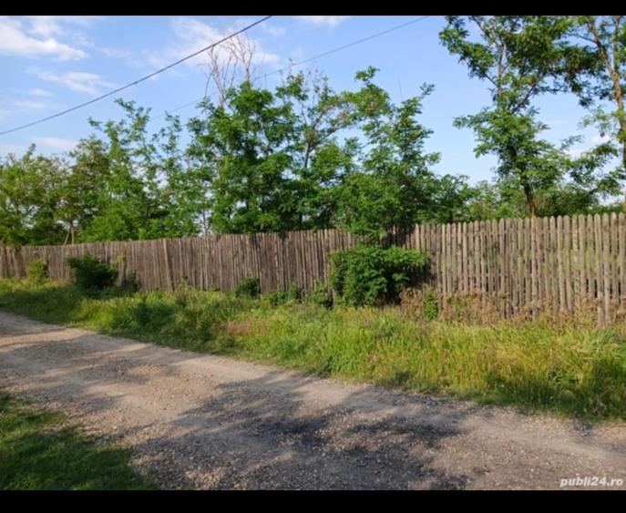 Teren intravilan de 3580 mp, în Călțuna