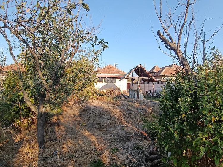 Casă cu 3 camere cu Teren 4500 Mp în Central