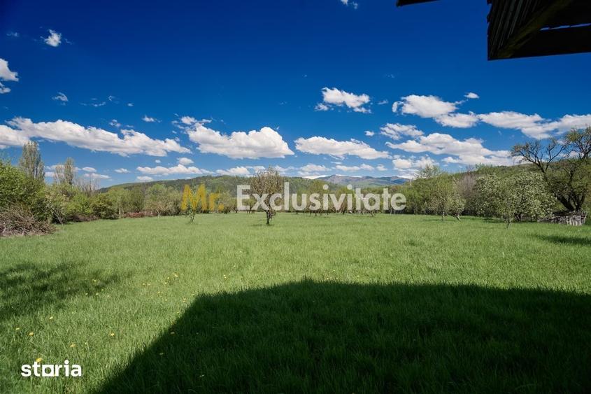 Teren de 9400 mp, în Mălureni