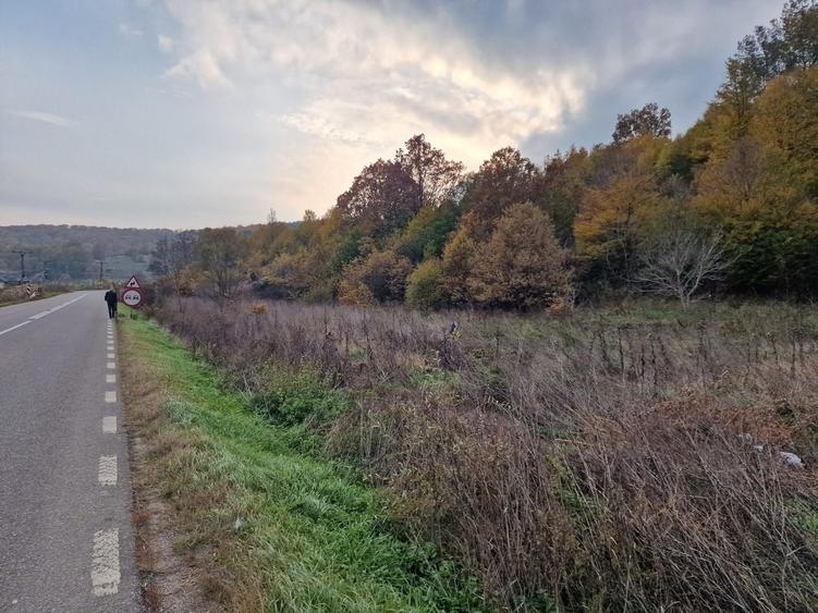 Teren agricol extravilan de 1717 mp, în Mărgineni
