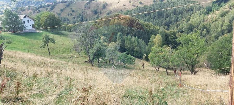 Teren agricol intravilan de 4608 mp, în Măgura