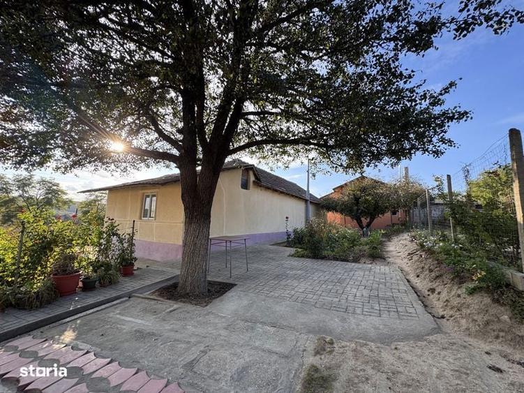 Casa de vanzare plina de viata! Nu ratati aceasta ocazie! - 1