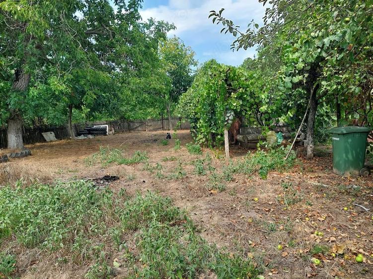 Casa cu teren 1280mp in Merii Petchii, Ilfov- oaza de liniste! - 2