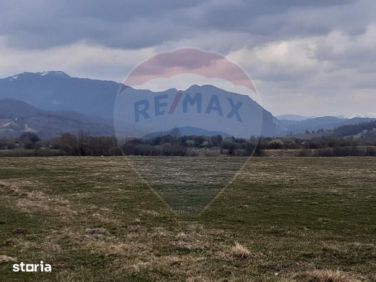 Teren de 10000 mp, în Pănicel