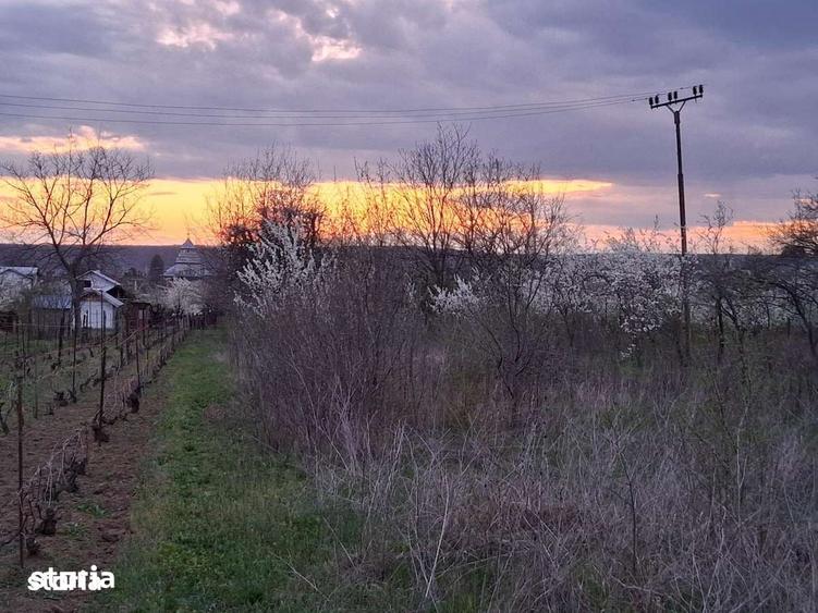 Teren de 3715 mp, în Boldești