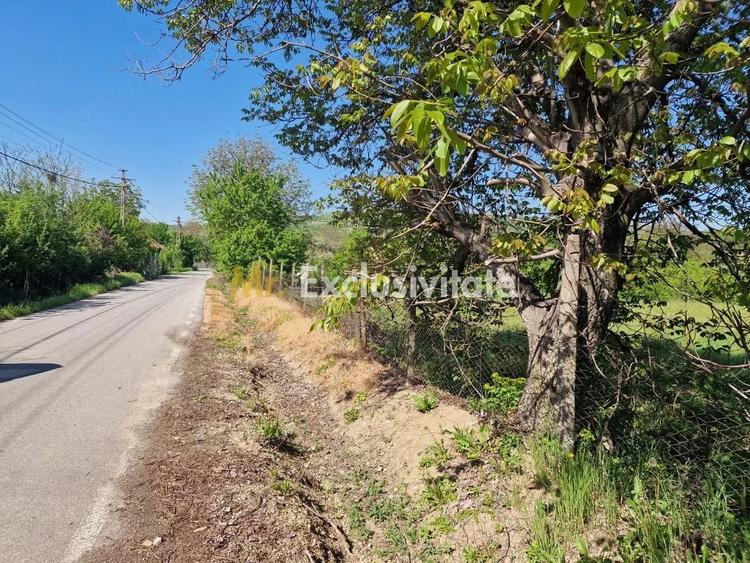 Teren de 1688 mp, în Călinești