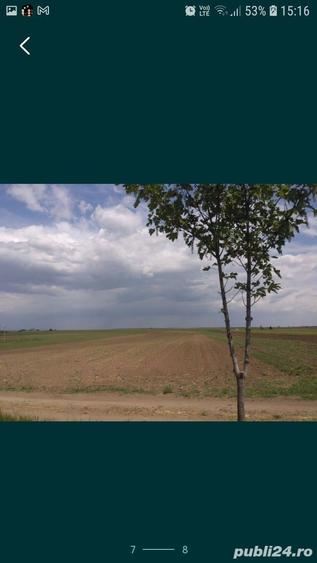 Teren în Tăbărăști