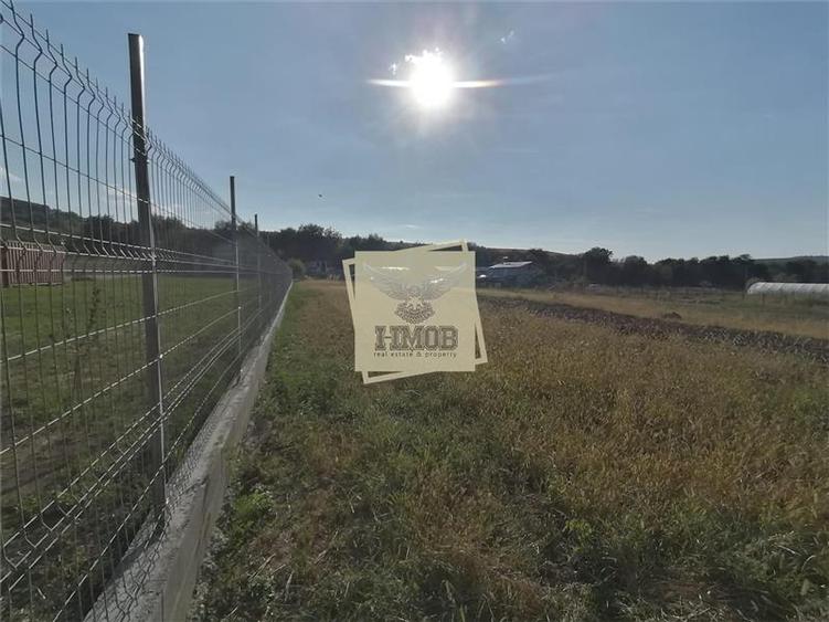 Teren Construcții intravilan de 3500 mp, în Hamba