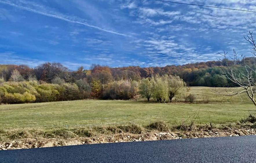 Teren Construcții intravilan de 22800 mp, în Mihăești