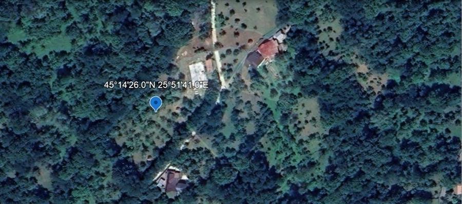 Teren Construcții intravilan de 4972 mp, în Bertea