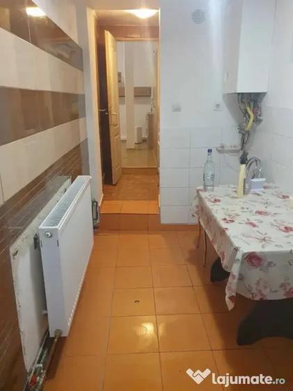 Garsonieră nedecomandată în Sub Arini