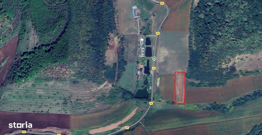 Teren de 7000 mp, în Hoghilag