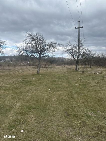 Teren de 4400 mp, în Voila