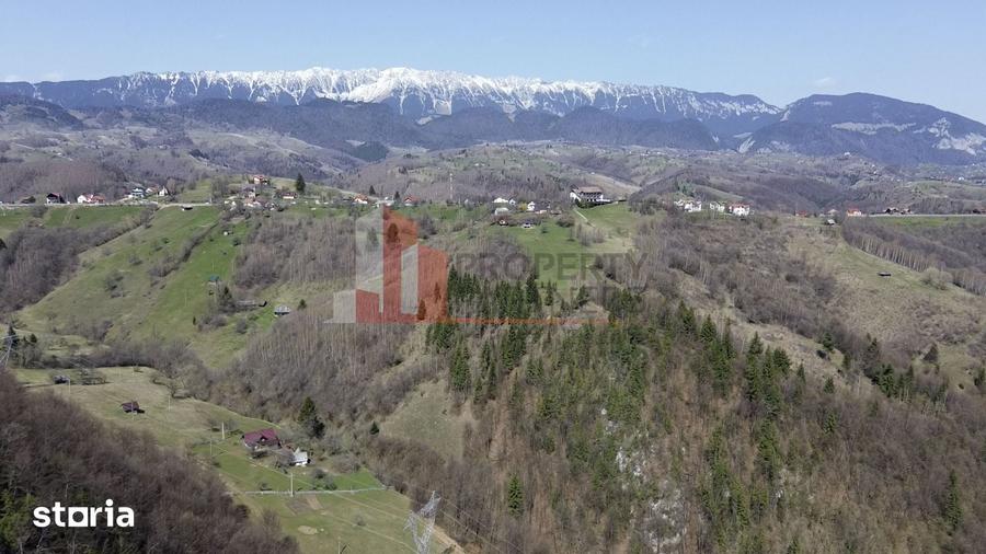 Teren de 29595 mp, în Moieciu