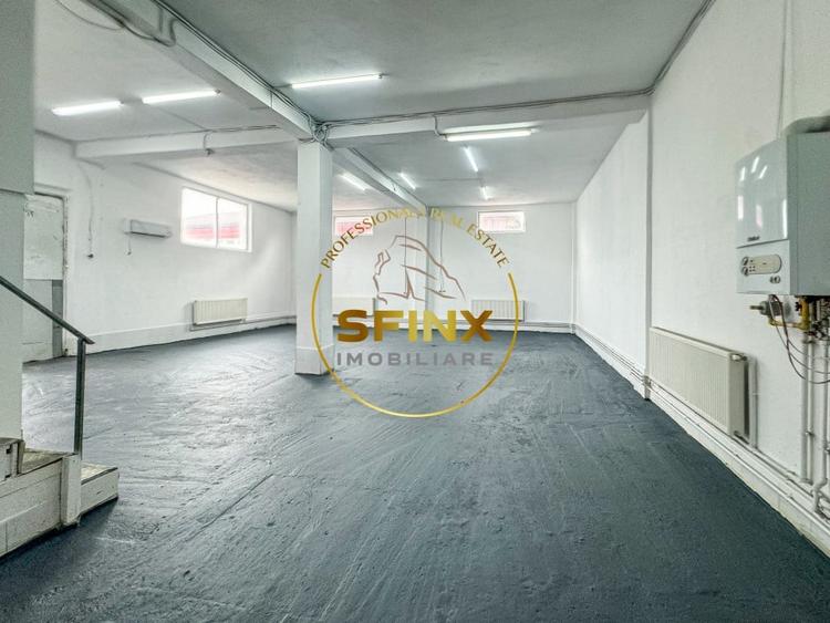 Spațiu industrial, de 123.4700012207 mp, în Theodor Pallady