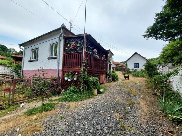 Casă individuală cu 2 camere cu Teren 7000 Mp în Nojag