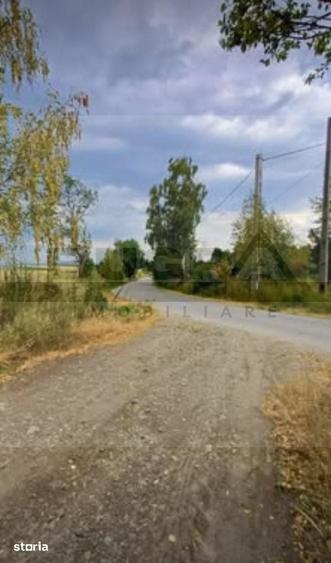 Teren extravilan, 4265 mp, zona Dangau Mare - 2
