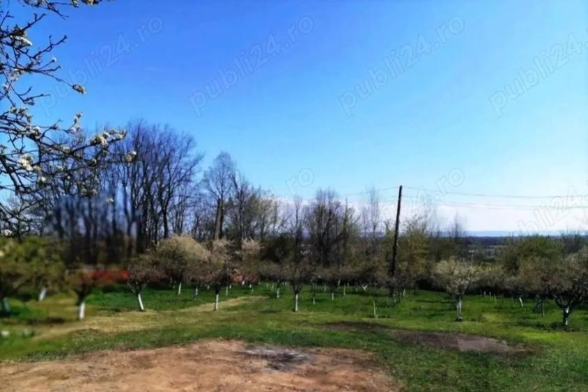 Casă cu 5 camere cu Teren 2240 Mp în Moșoaia