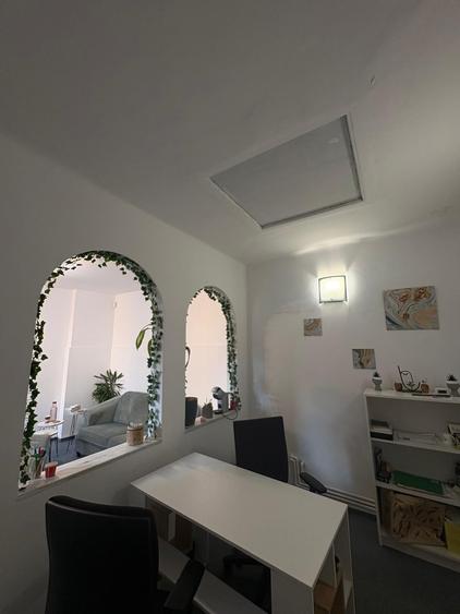 MÂNTULEASA | VILĂ EXCLUSIVISTĂ ÎN CENTRUL BUCUREȘTIULUI – 1.100.000 € - 6