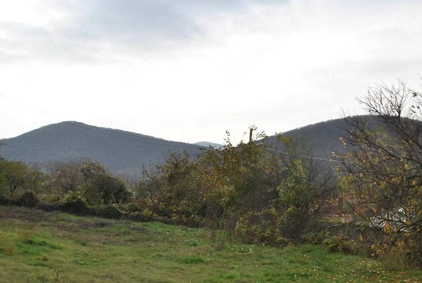 Teren de 2600 mp, în Telița