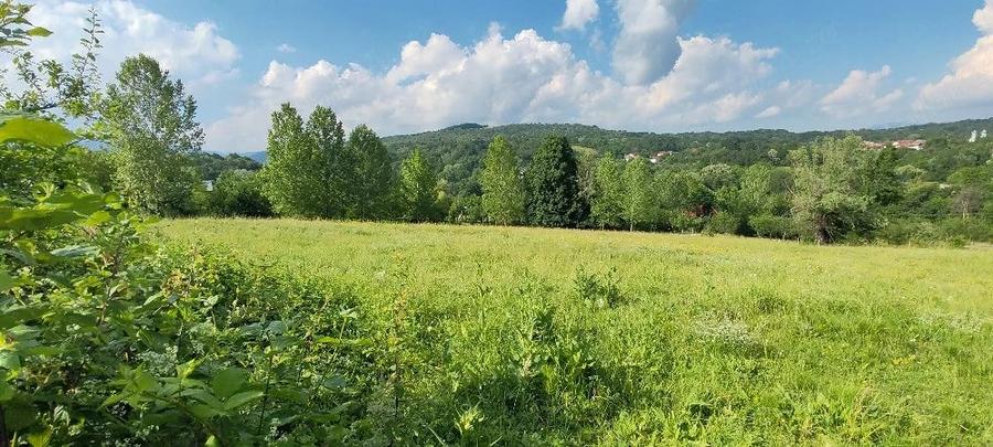 EXCLUSIV! Teren intravilan 5.523 mp Vaideeni Horezu.78 m deschidere. Utilita?i. Pre? atractiv! Opo - 10