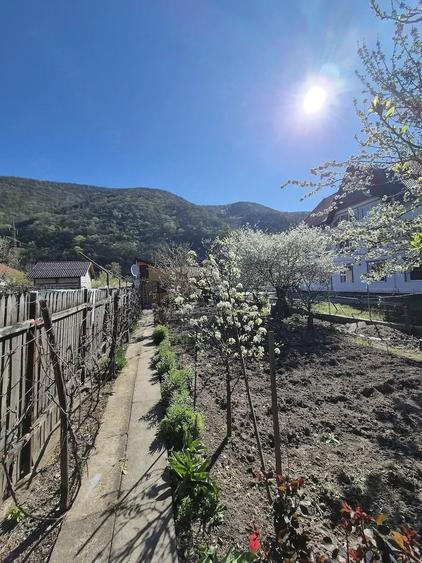 Casă cu 2 camere cu Teren 450 Mp în Central