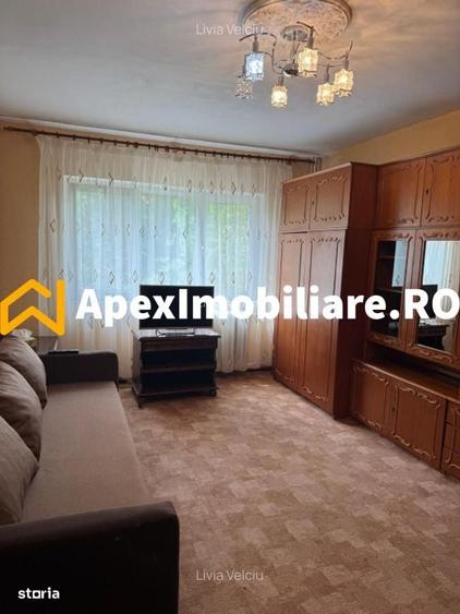 Apartament 2 camere de inchiriat Tineretului Bucuresti | ApexImobiliar - 2