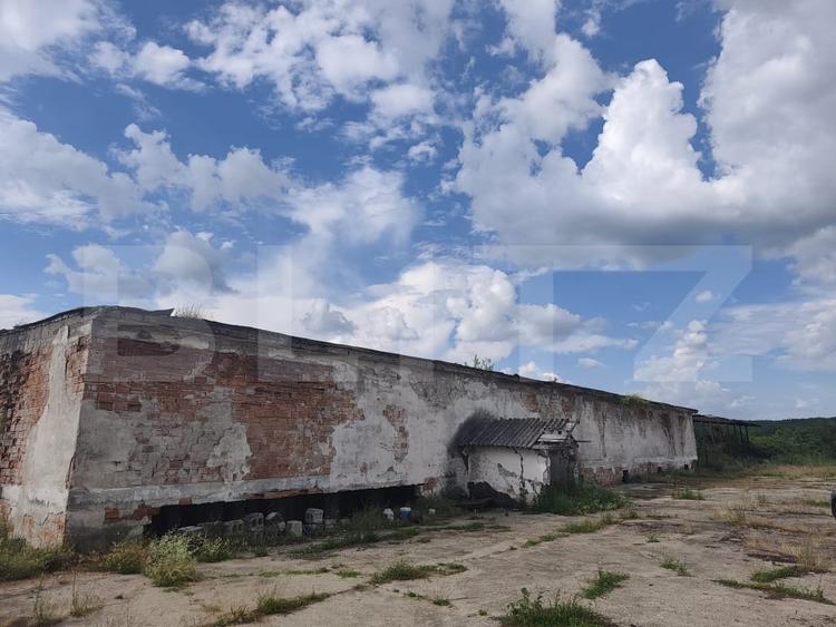 Teren Construcții intravilan de 8000 mp, în Dragomirești