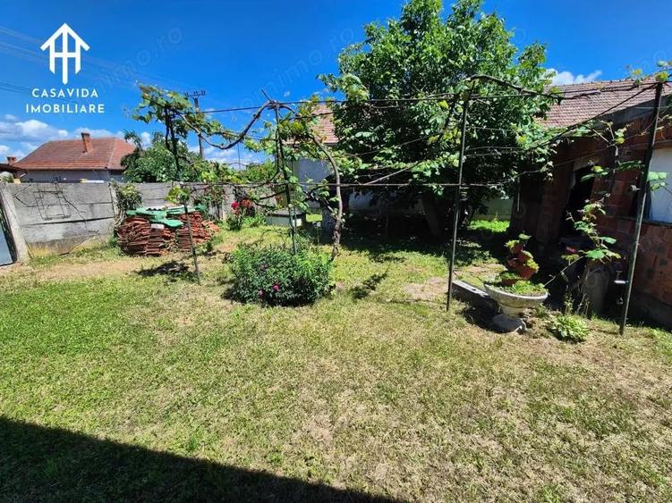Casă cu Teren 2800 Mp în Săceni
