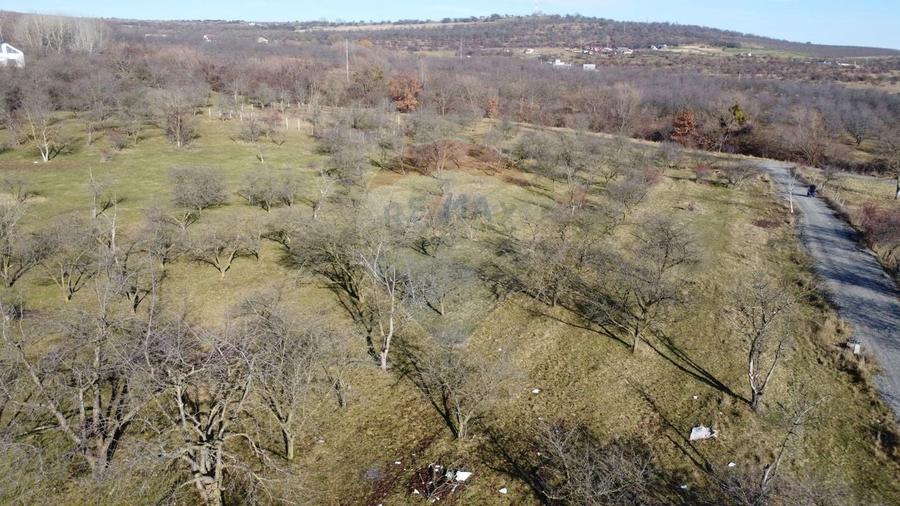 Teren agricol extravilan de 20146 mp, în Dâmbul Rotund