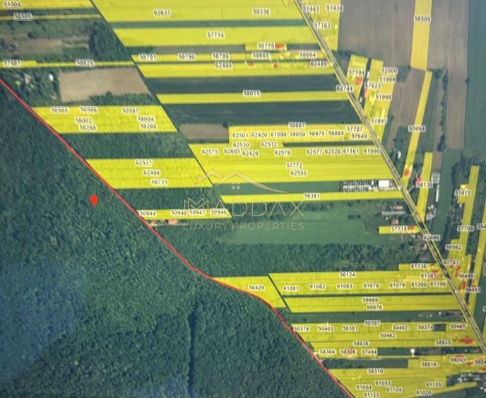 Teren Construcții intravilan de 4701 mp, în Gruiu