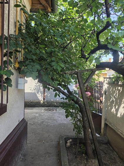 Casă individuală cu 3 camere cu Canalizare în Vatra Luminoasă