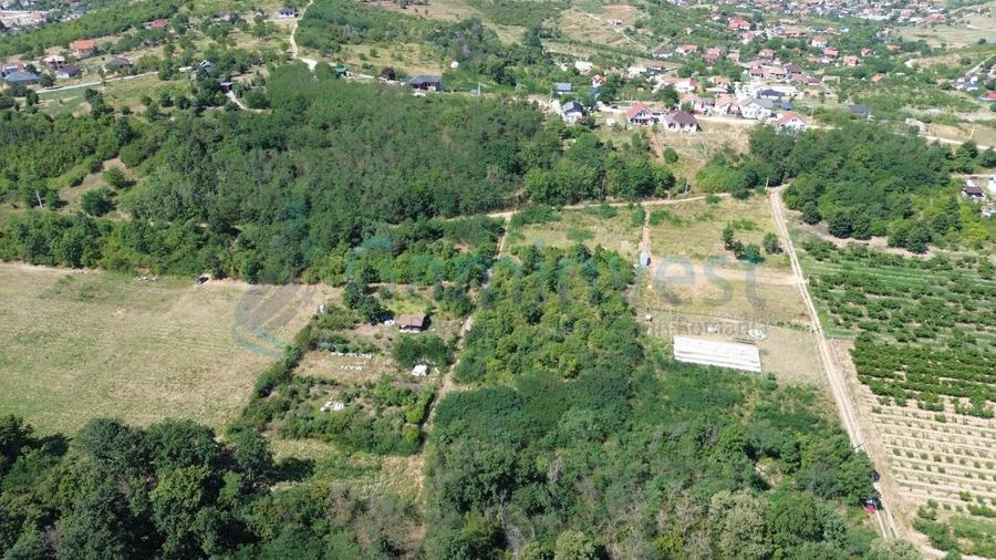 Teren Construcții intravilan de 1200 mp, în Paleu