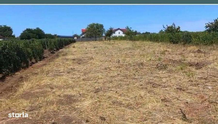 Teren de 1700 mp, în Valea Călugărească