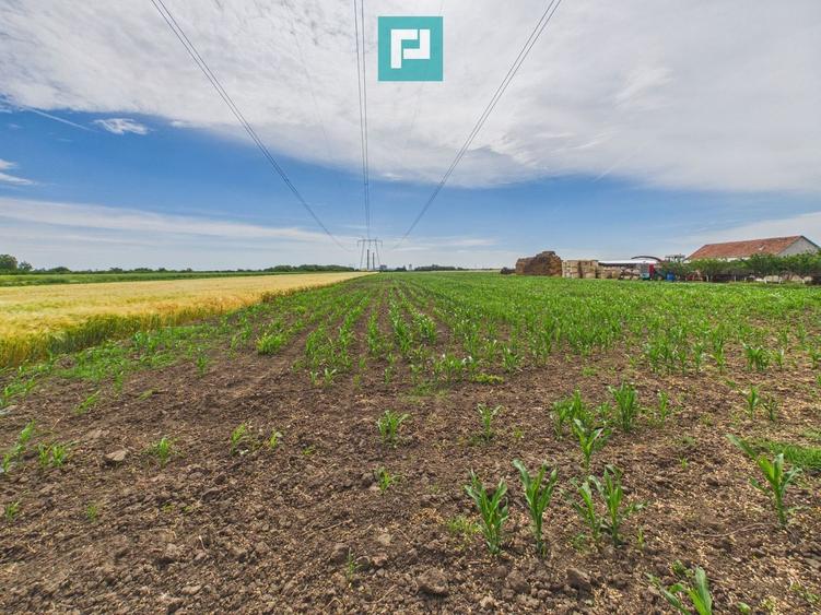 Teren agricol extravilan de 10000 mp, în Gai
