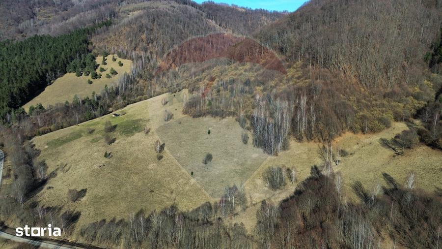 Teren de 16466 mp, în Desești