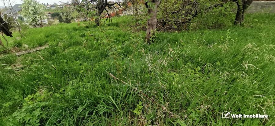 Teren intravilan in Feleacu-Cluj, cu utilitati,  priveliste frumoasa - 5