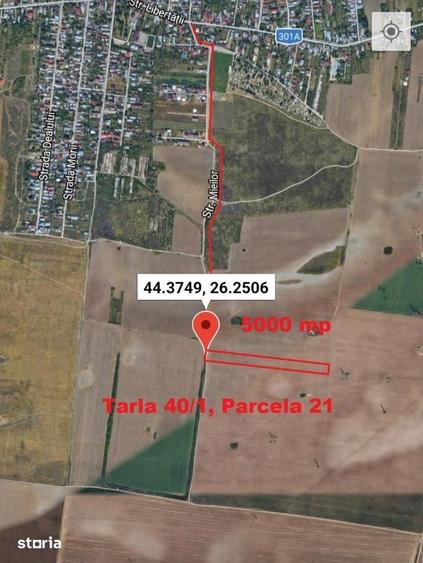 Teren de 33100 mp, în Glina