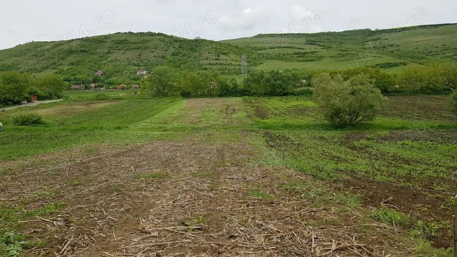 Teren de 2900 mp, în Căianu