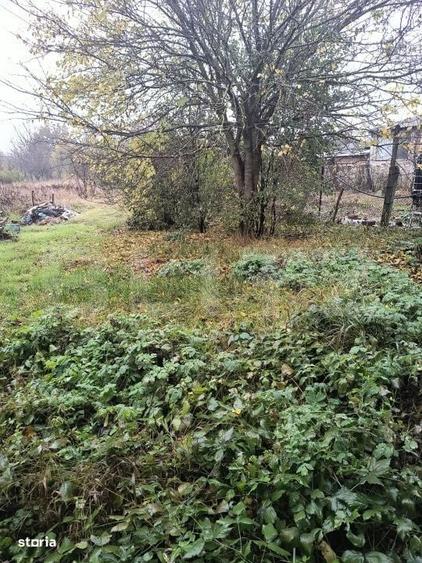 Casă cu 3 camere în Topa Mică